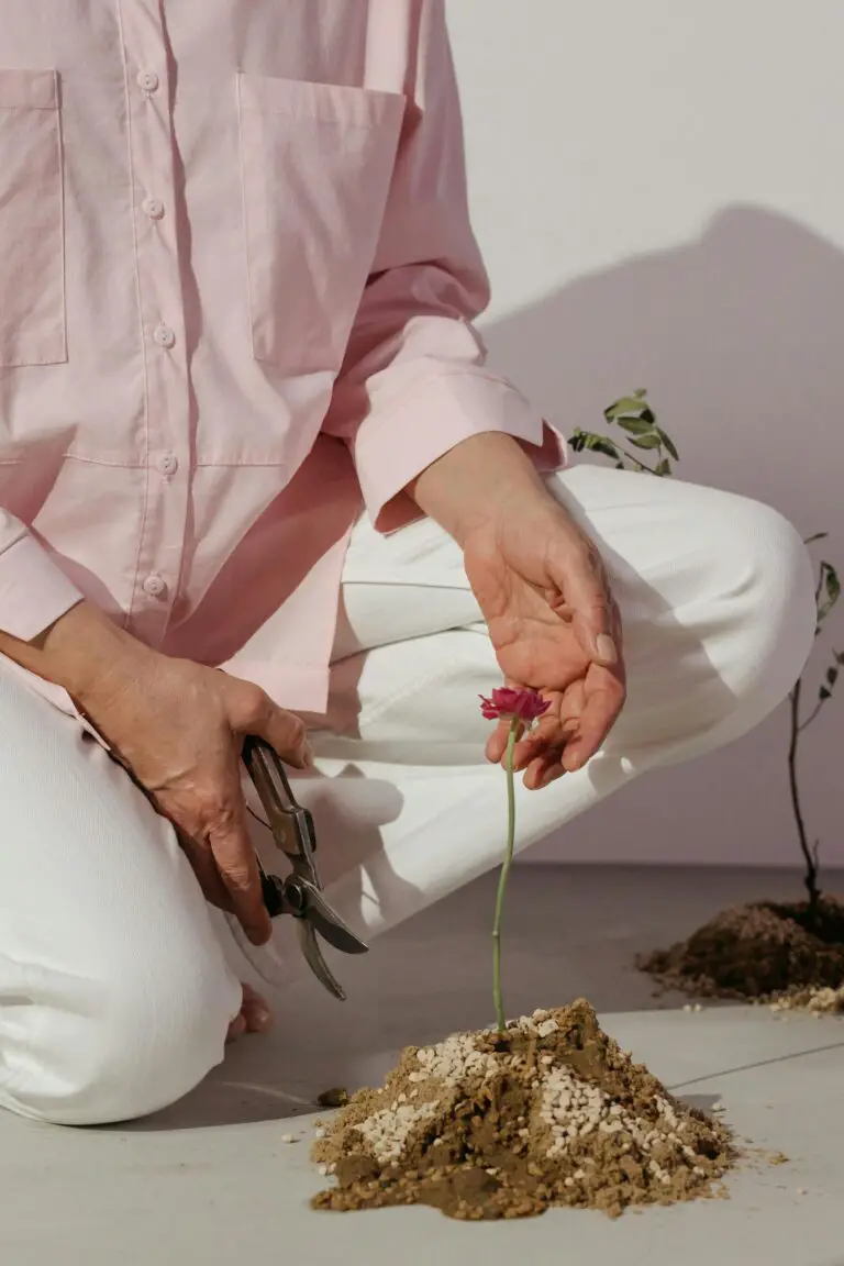 should i prune my sedum - A Gardener Holding a Secateurs