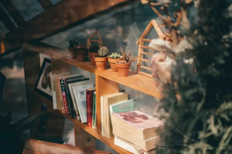 Sedum thriving in pots on a bookshelf