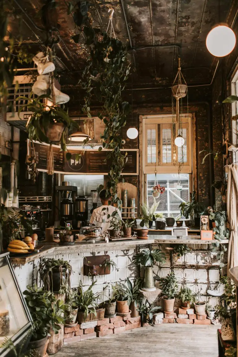 will sedum grow in pots, showcasing succulents in a rustic setting